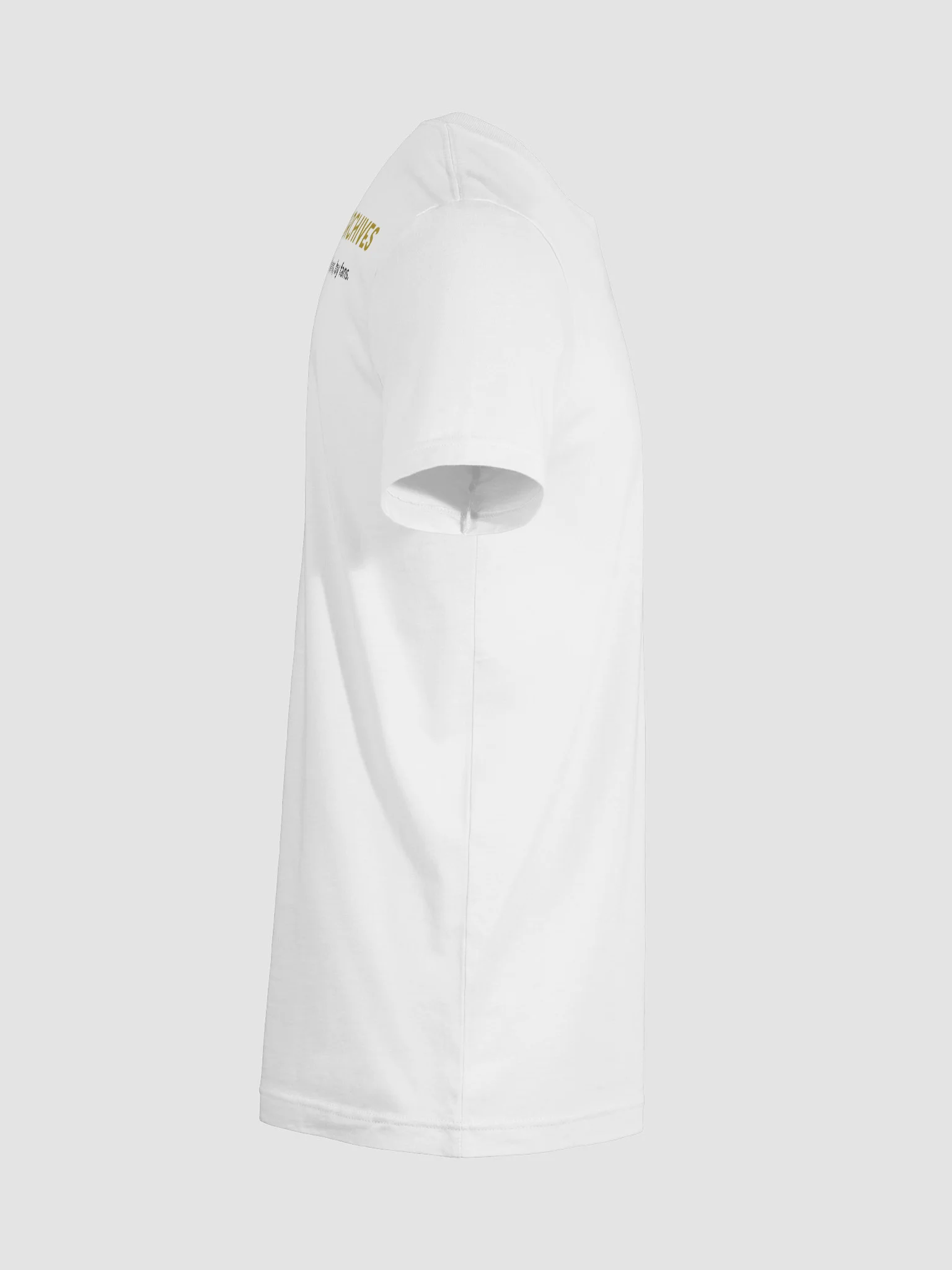 Concert Archives Moth & Logo T-Shirt (Unisex) product image (8)