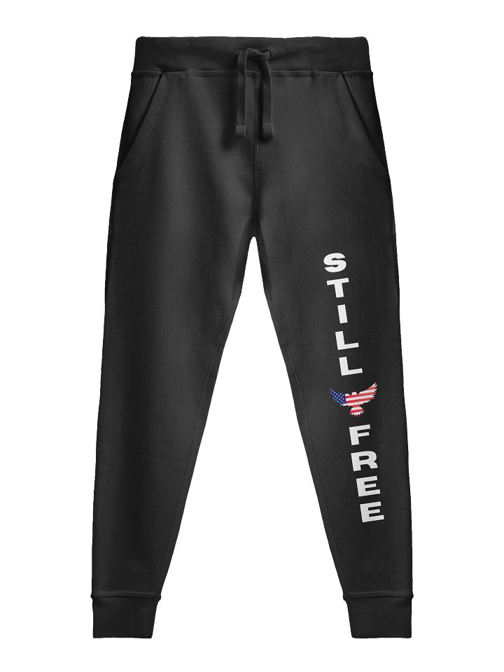 Patriotic Truth Fleece Joggers product image (1)