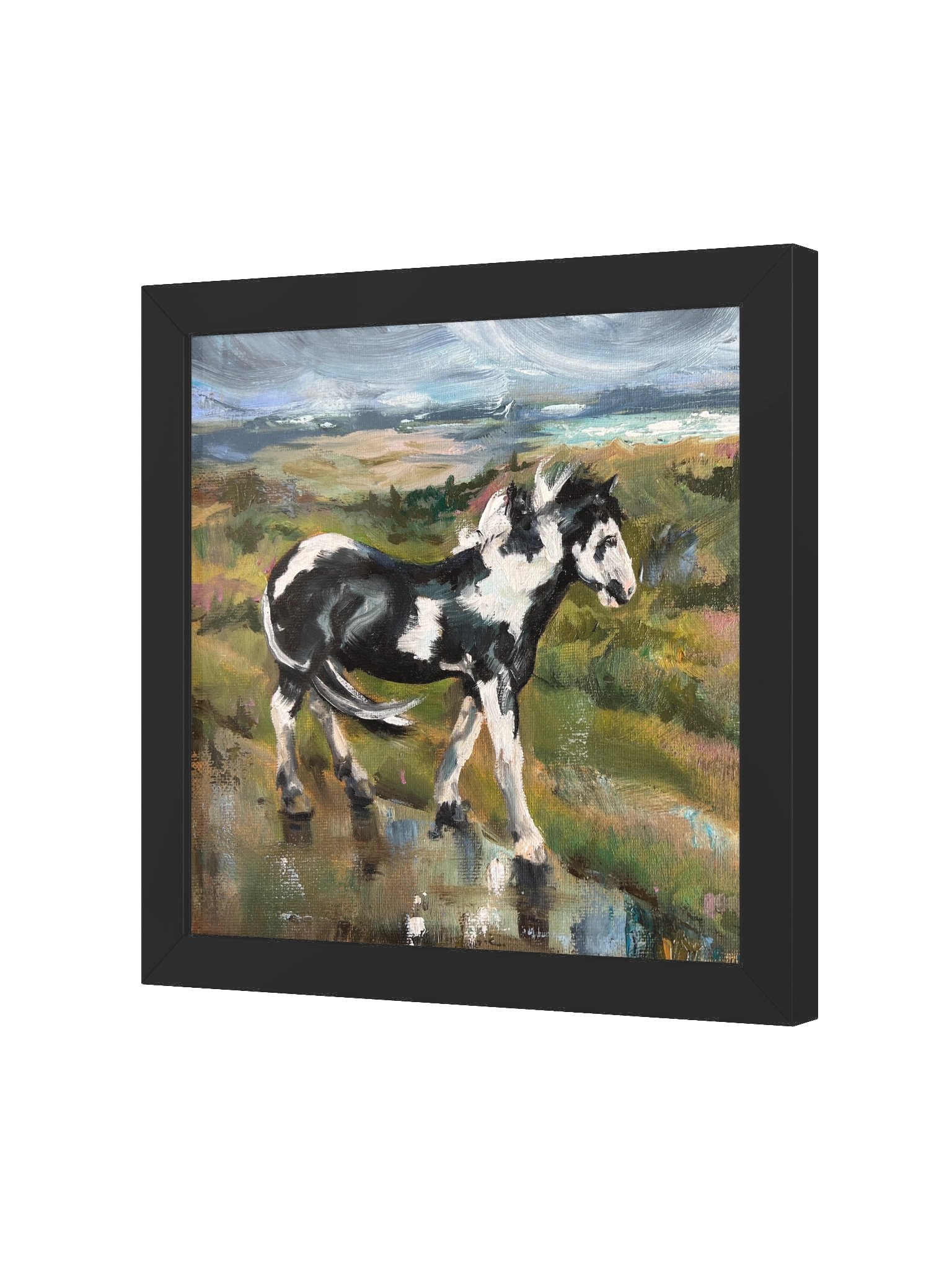 Pirate of Studland Bay - Piebald Horse Print product image (2)