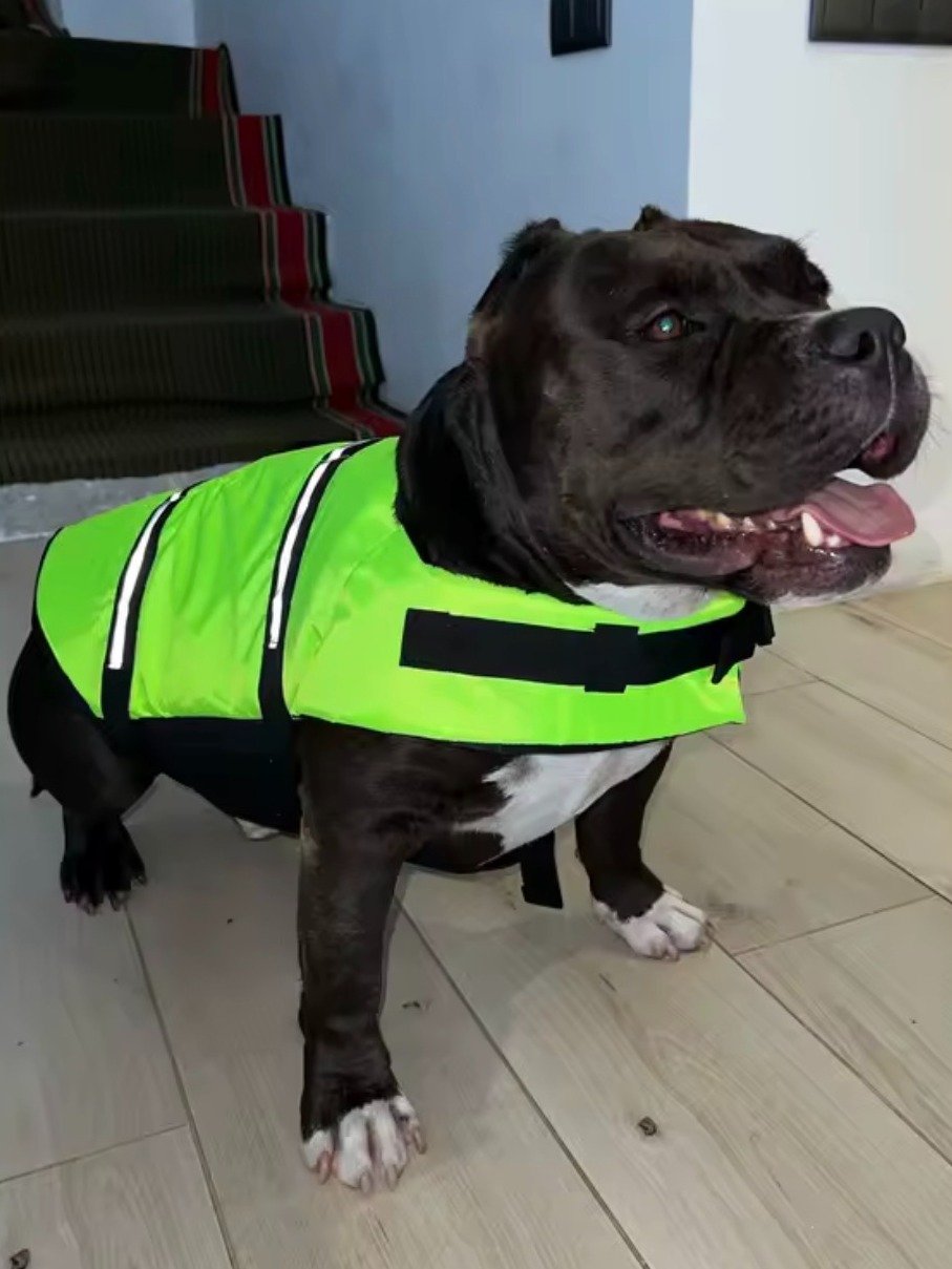 Life Jackets For Dogs and Cats product image (10)