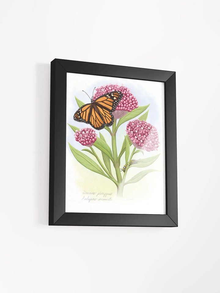 Monarch, Caterpillar & Milkweed product image (18)