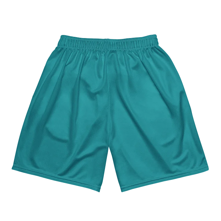 Bristol Orange Brigade Home Shorts product image (2)