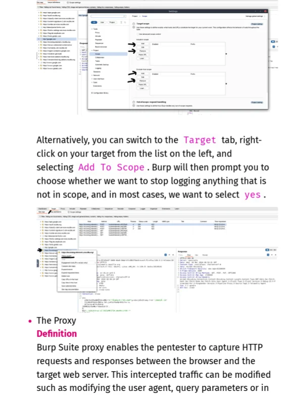 Offensive Security Web Assessor (OSWA) Study Notes (Unofficial) product image (3)