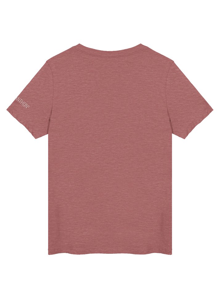 I AM BUCK NORRIS LIMITED WOMEN'S V-NECK product image (2)