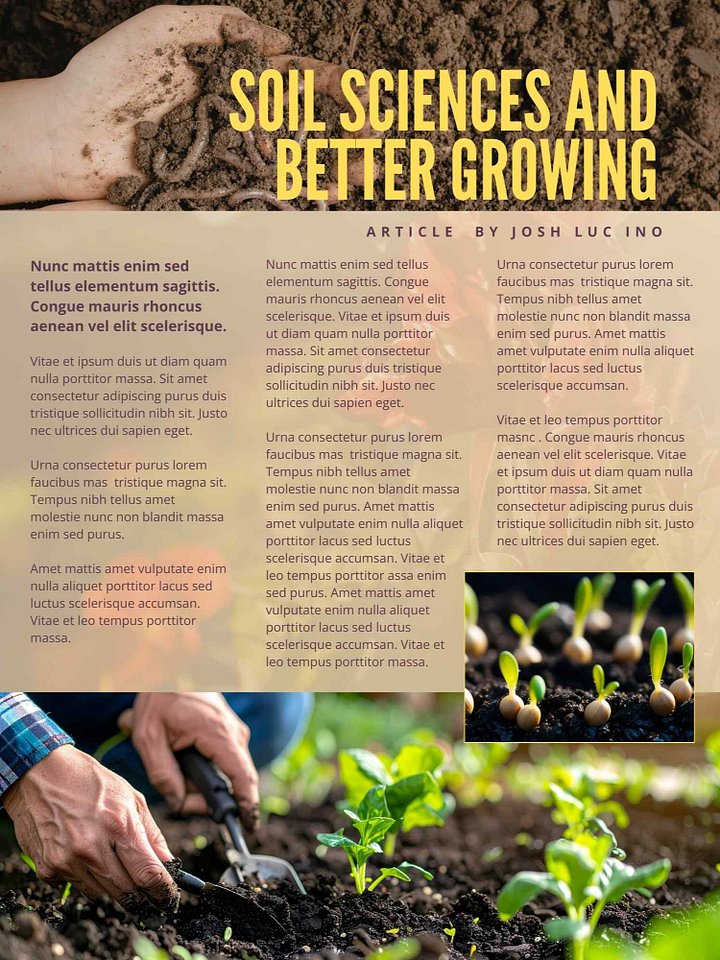 GAIDEN COLLECTOR: JULY 2026 Mail-Out Request product image (1)