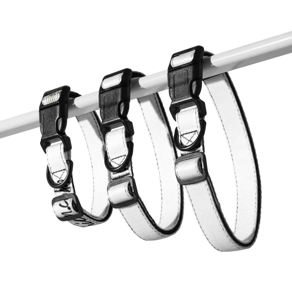 Pet Collar Cute.CunFashion.com product image (5)