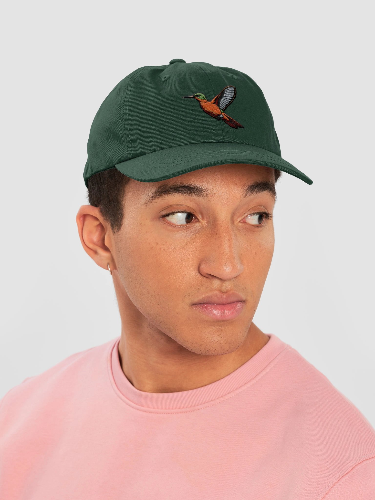 Cinnamon Hummingbird Embroidered Hat | Hummingbird Dad Cap | Bird Lover Gift product image (38)