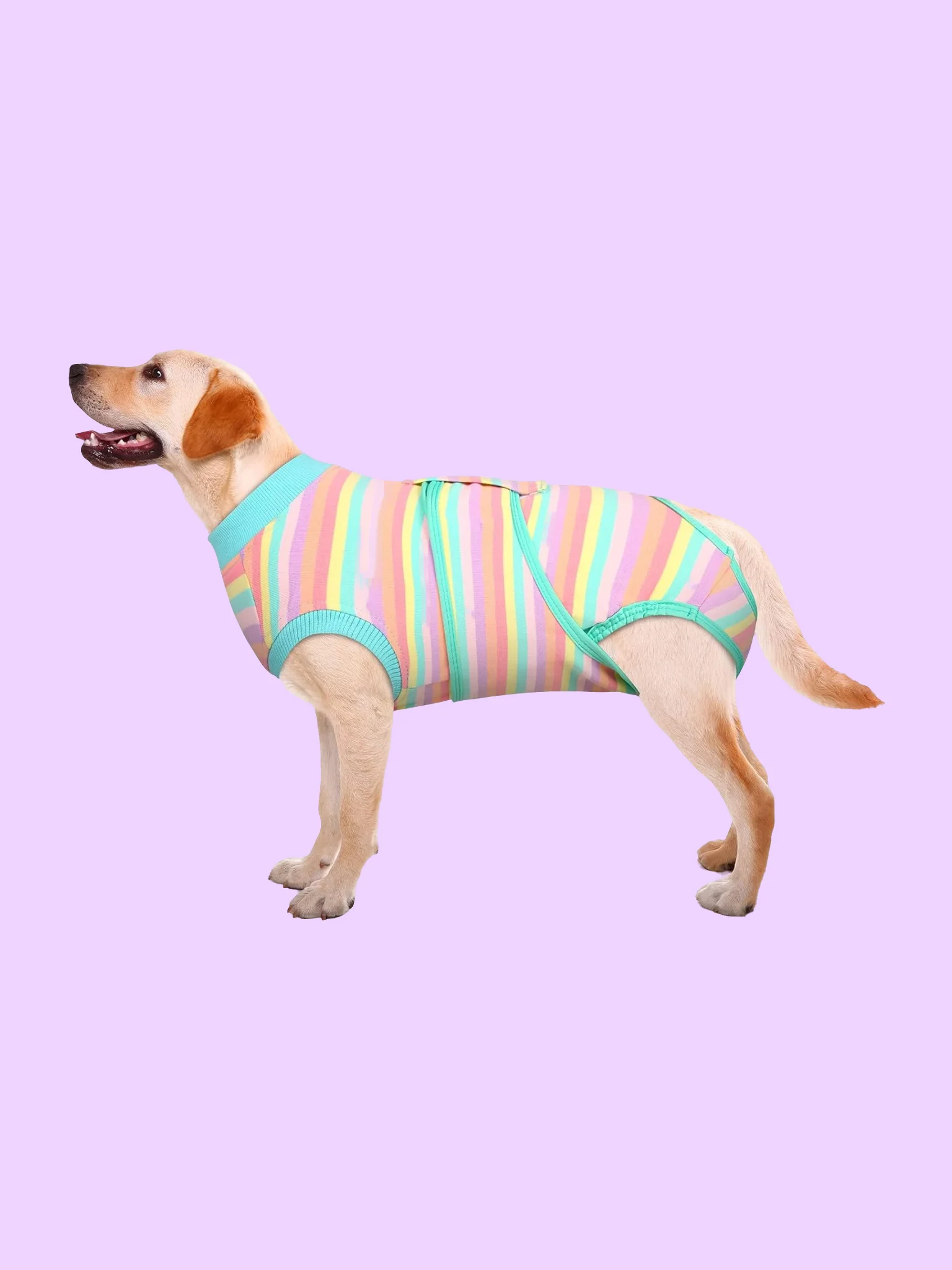 Dog Surgery Recovery Suit product image (2)