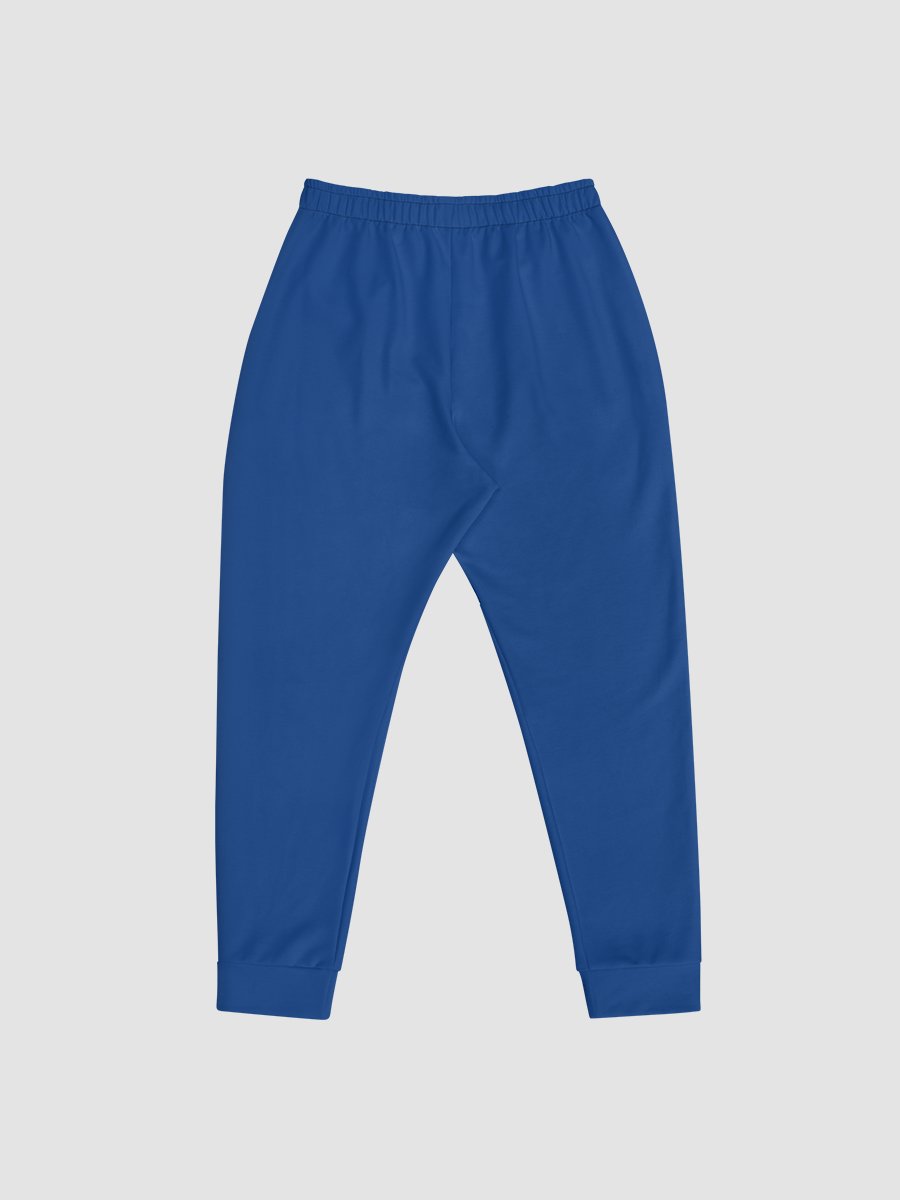 Project Winter Men's Joggers (Blue) product image (4)