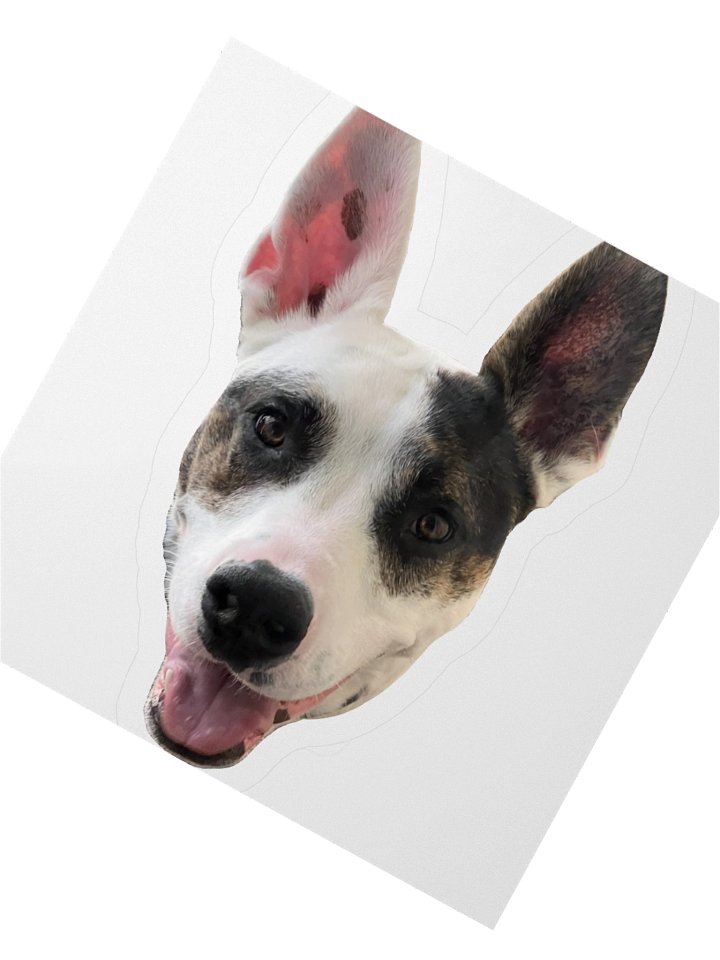 Sagey Sticker product image (5)