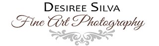 Desiree Silva | Fine Art Photography