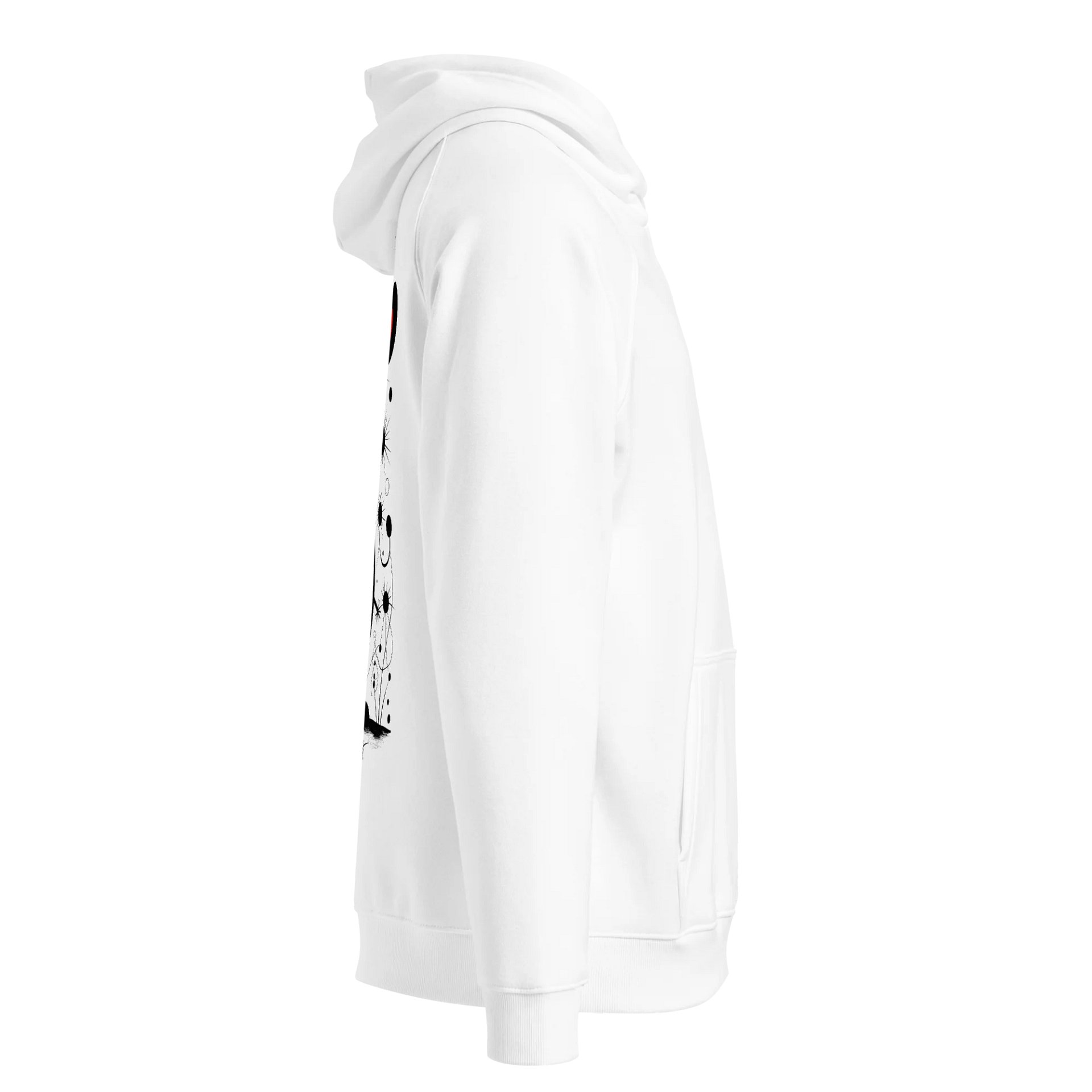 SOL'S Unisex Eco Raglan Hoodie product image (4)