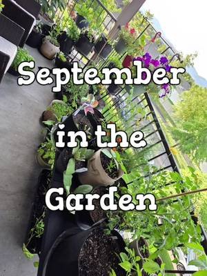 September in the Garden