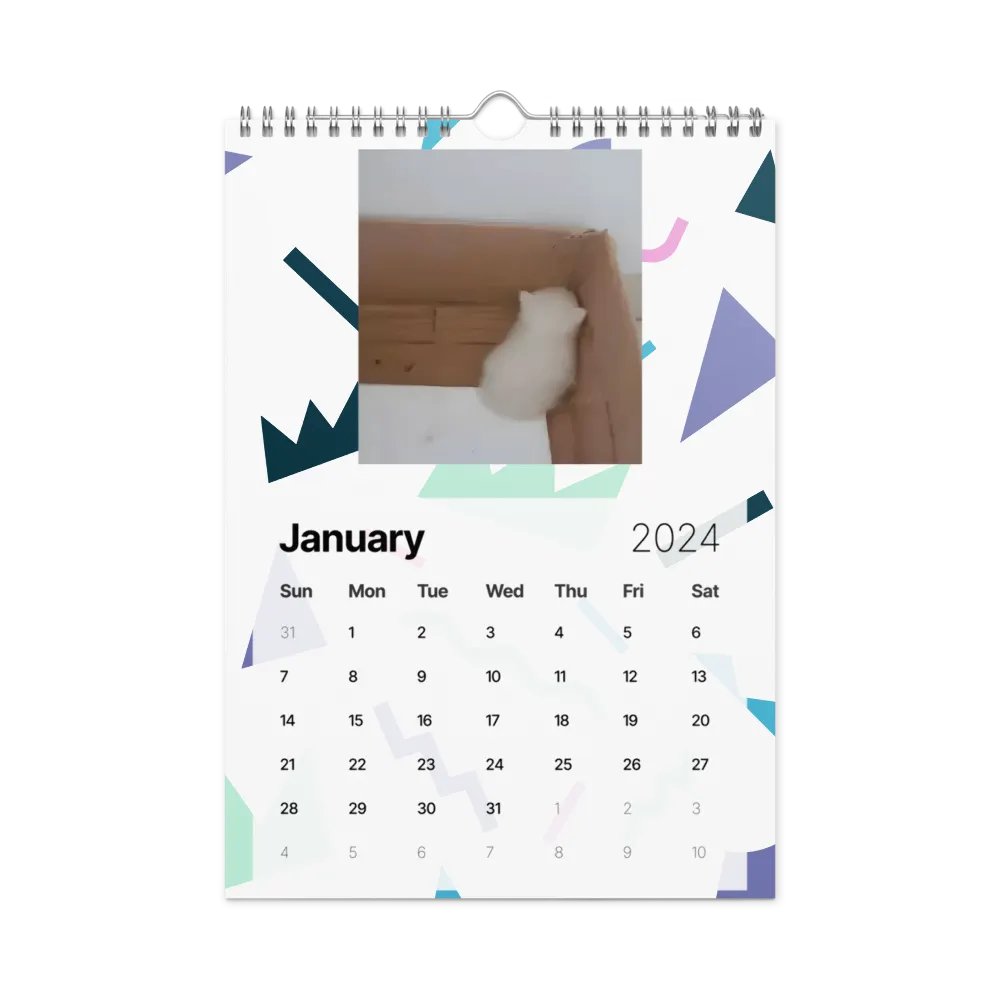 Wall Calendar (2024): Meme Cats product image (8)