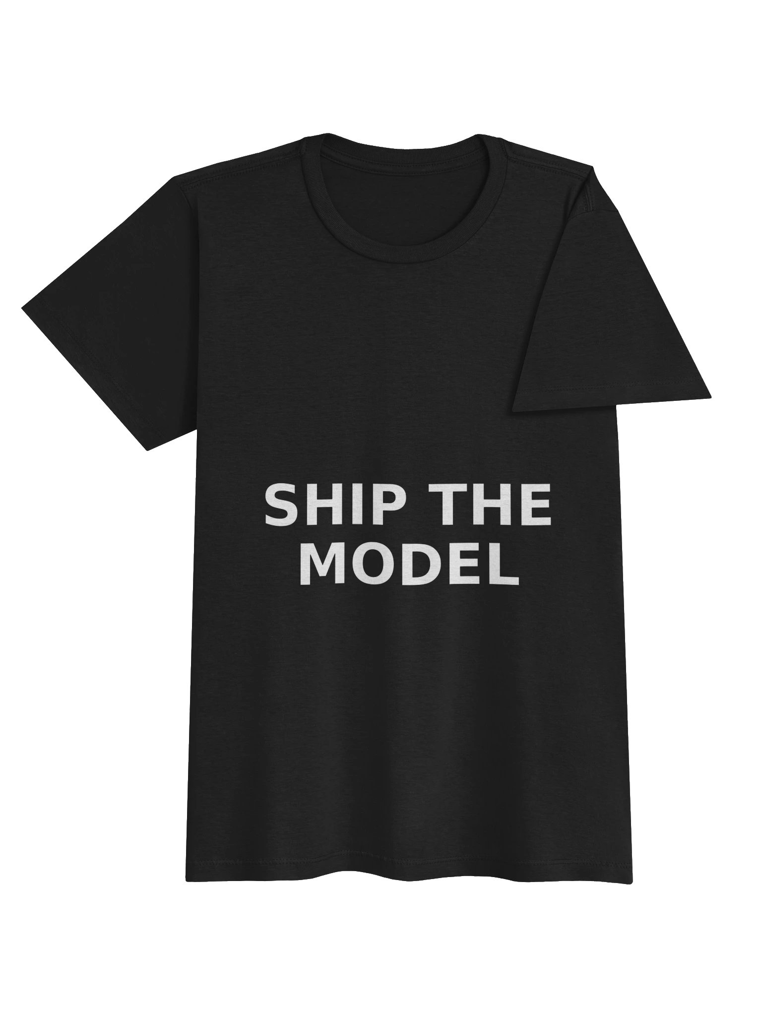 Ship The Model Adult Tee product image (4)