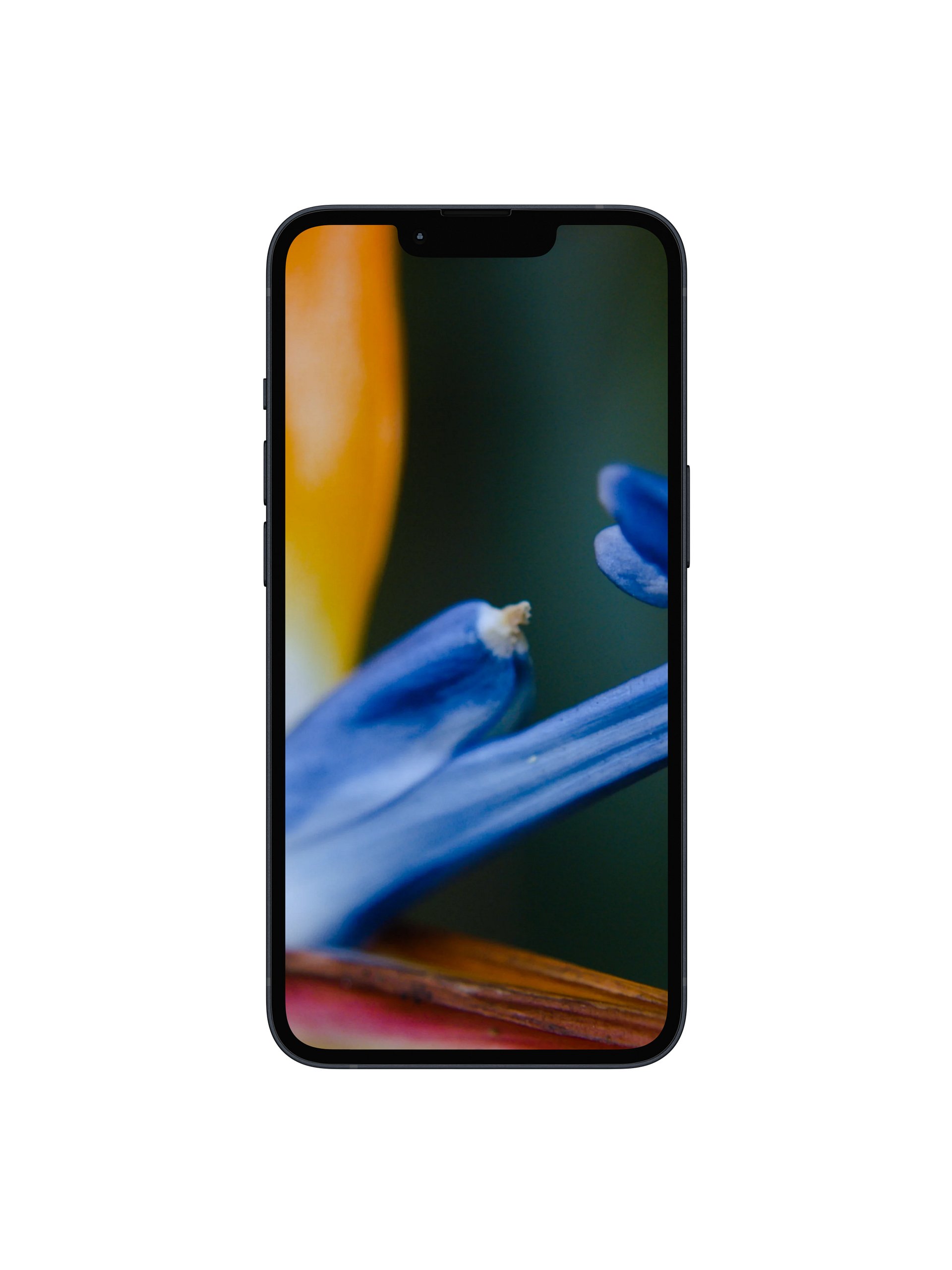 Bird of Paradise Digital Wallpaper Set product image (1)