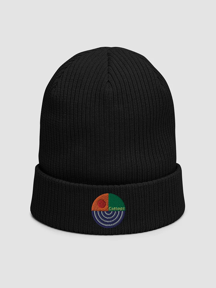 Daydream Organic Ribbed Beanie product image (1)