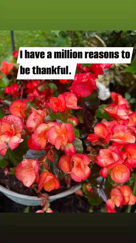I have a million reasons to be thankful every day. May I never forget! #thankyou #thankfulheart #happymoments