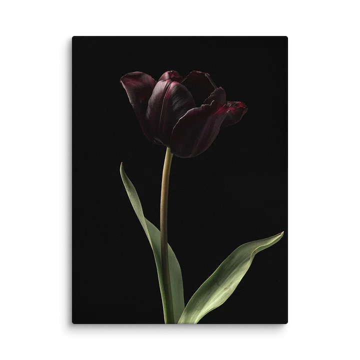 Tulips After Dusk II — Solitary Flame Canvas product image (2)