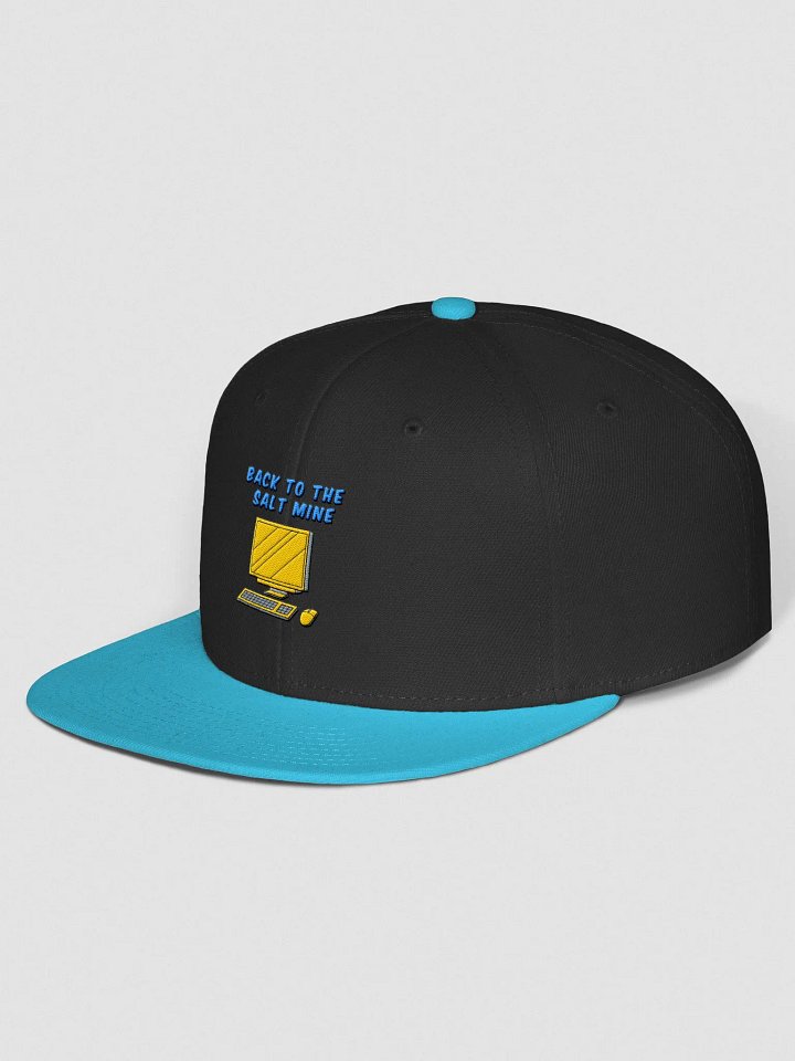 Back To The Salt Mine Snapback product image (2)