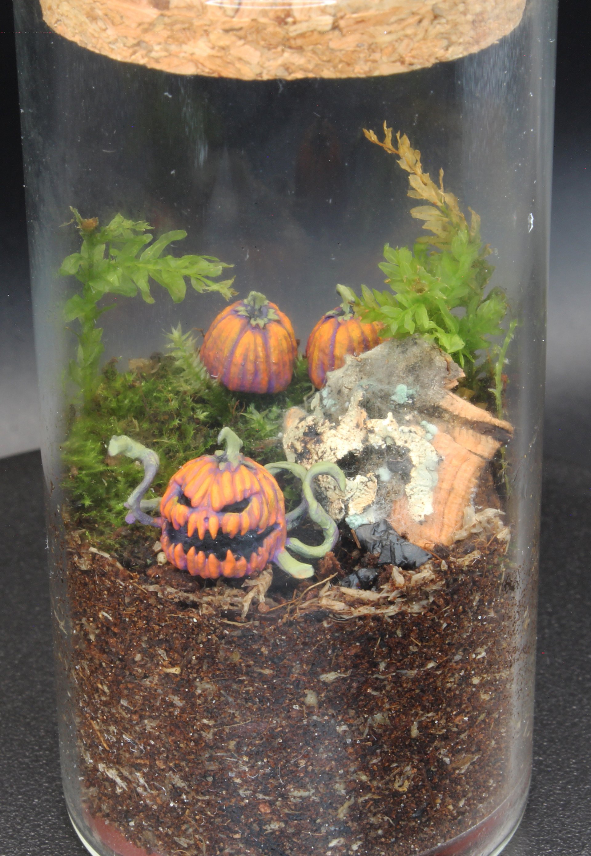 Miniscapes - Halloween - Pumpkins 2 product image (3)