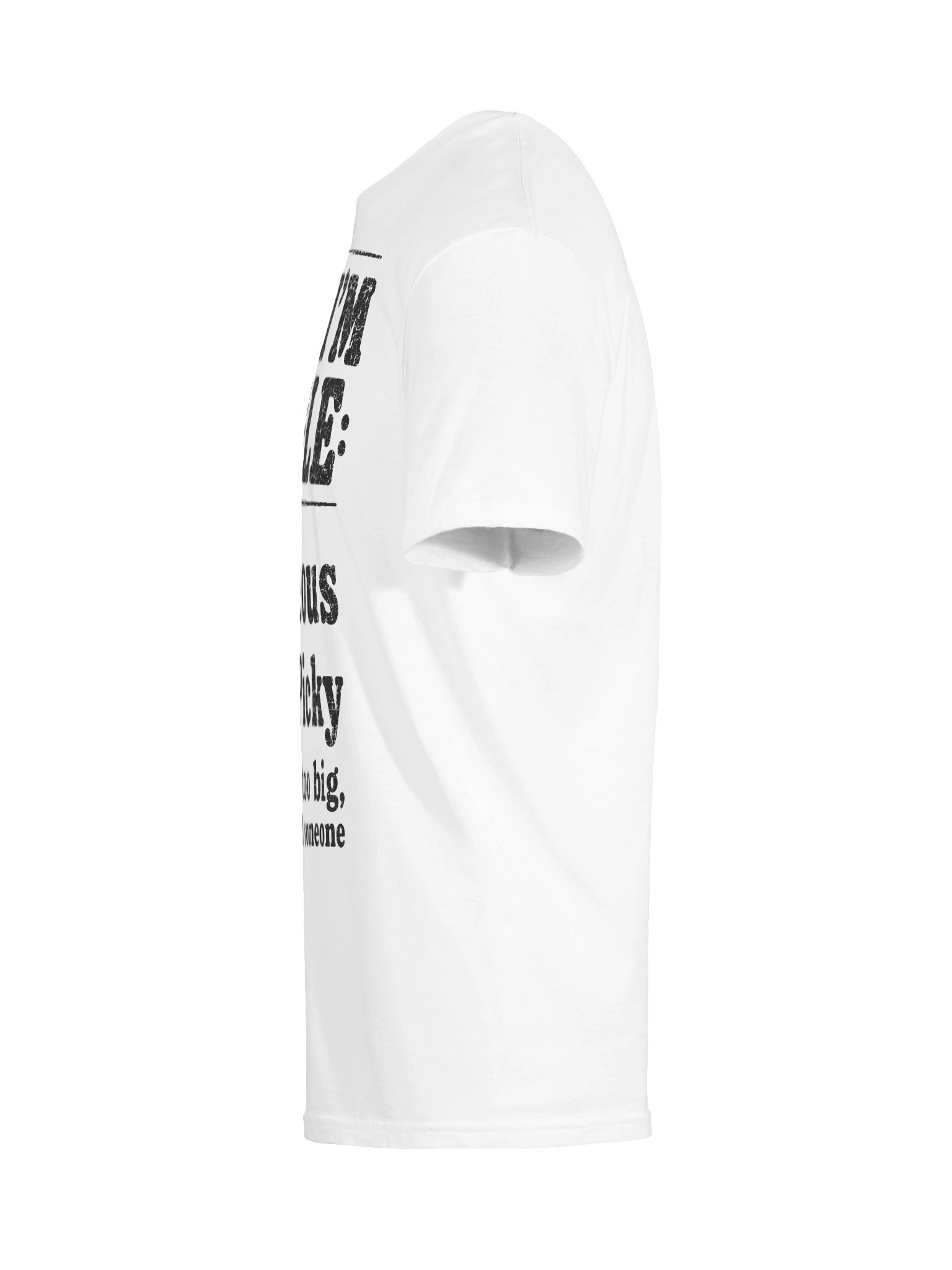 Why I’m Single Funny Adult Checklist T-Shirt product image (66)