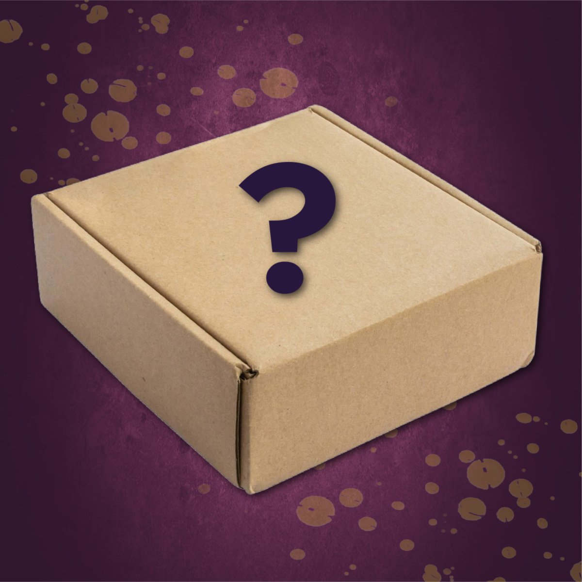 MYSTERY BOOK BOX — How To Make Your Neighbors Disappear product image (1)