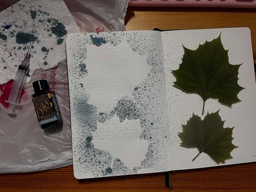 So fun to play with my fountain pen inks and the sycamore leaves I picked in Arkansas. #sycamoretree #diamineceledoncat #maki...