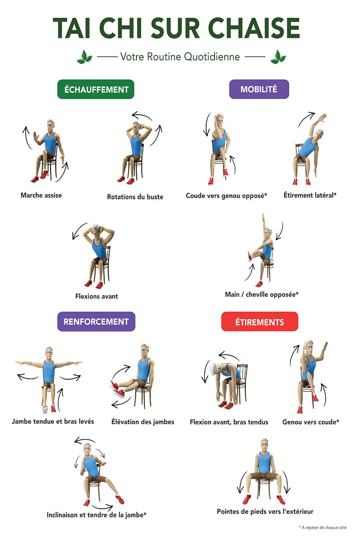 Affiche Tai Chi sur chaise imprimable | PDF à télécharger | Exercices seniors | Mobilité, équilibre et renforcement product image (1)