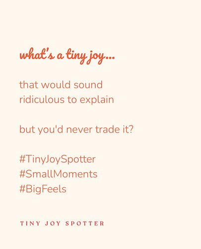 drop yours below 👇

#TinyJoySpotter #SmallMoments #BigFeels