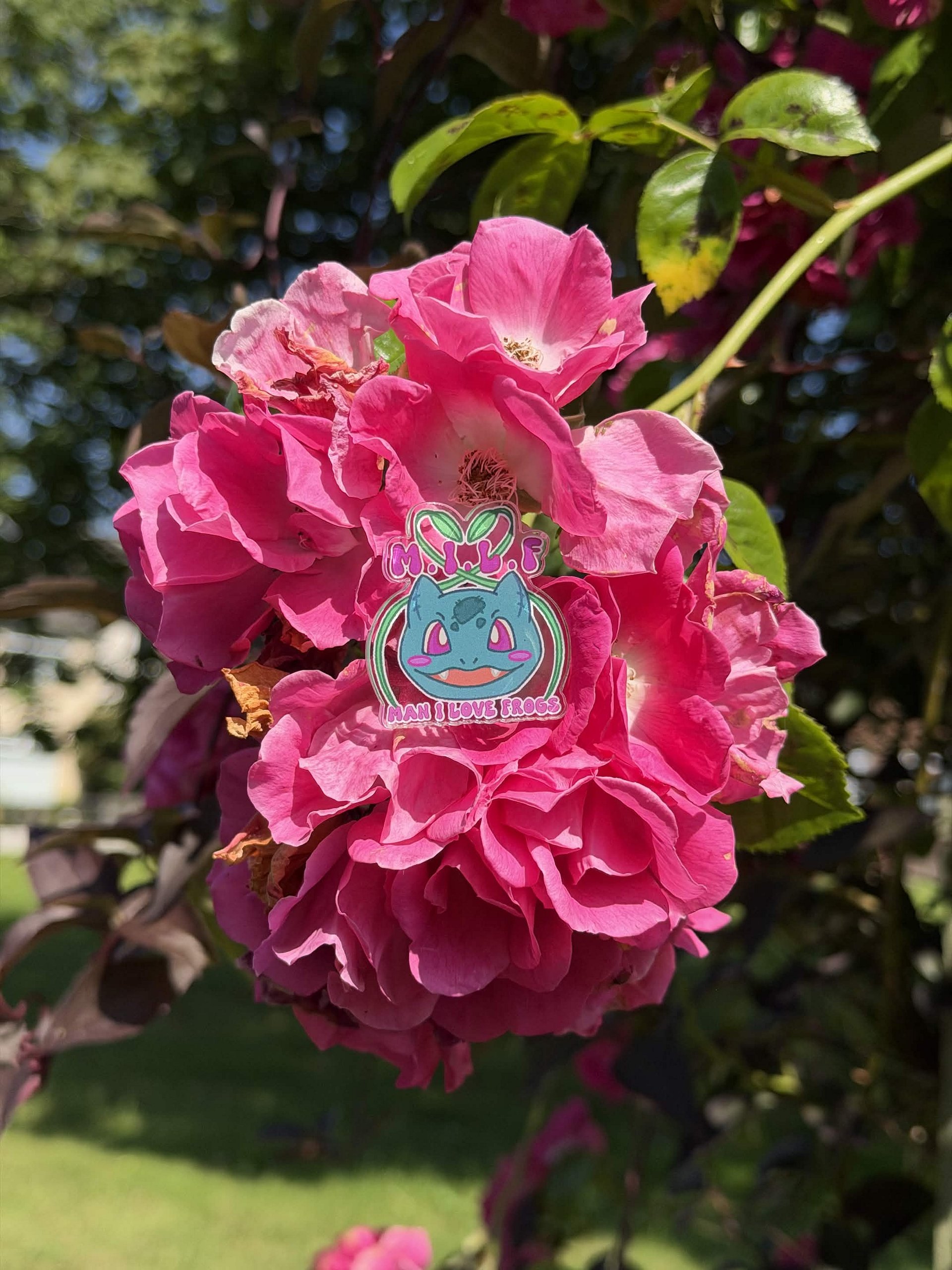 MILF Pinbadge (Man I Love Frogs) product image (1)