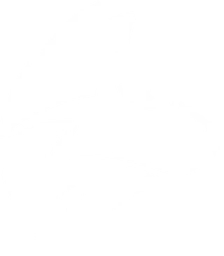TheElusiveWolf