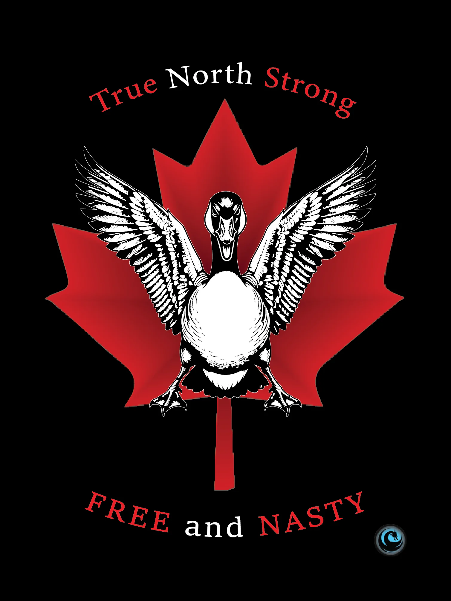 True North Strong Free & Nasty Shirt | Funny Canadian Goose Graphic Tee product image (2)