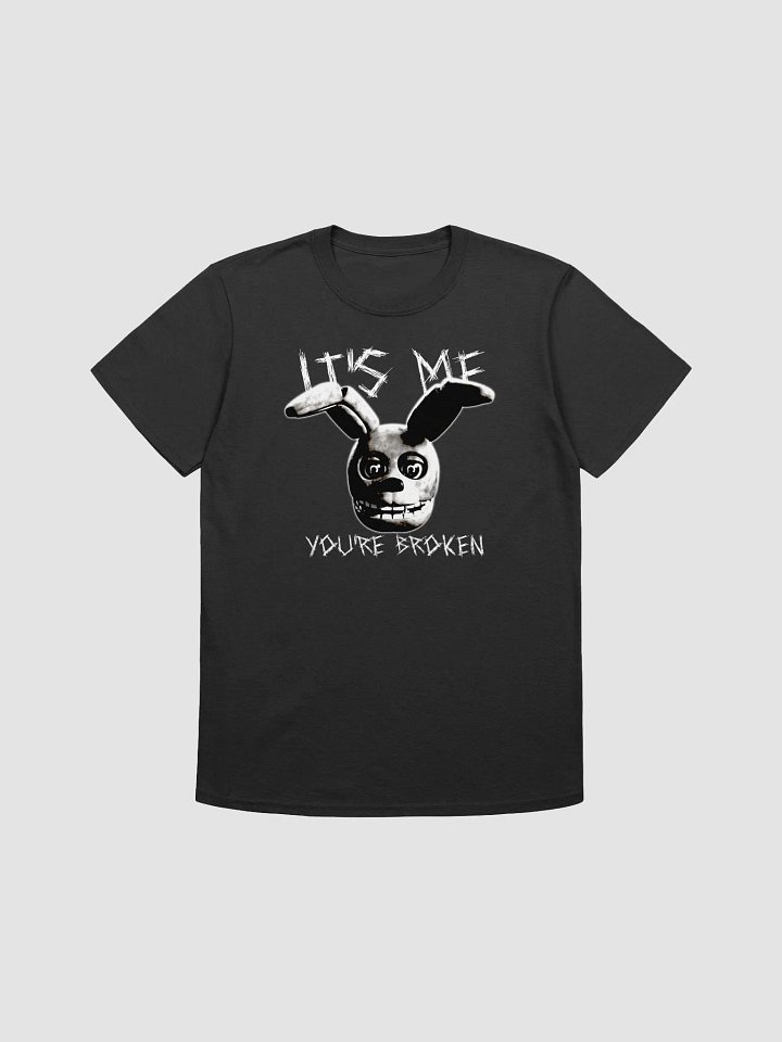 YOU'RE BROKEN + ITS ME Springy T-Shirt (DTFx) product image (1)