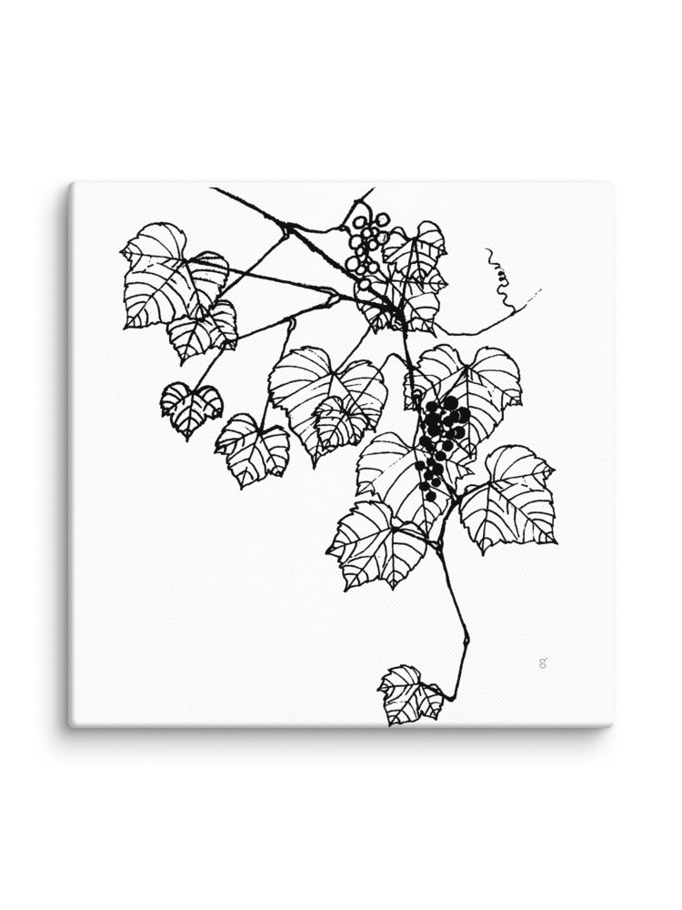 Grapevine Dreams Canvas Print - Grape Leaves Stylish product image (2)