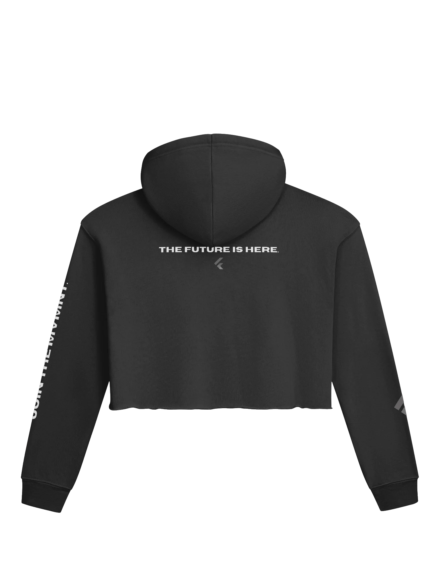 FGTP CROPPED FALL HOODIE product image (2)