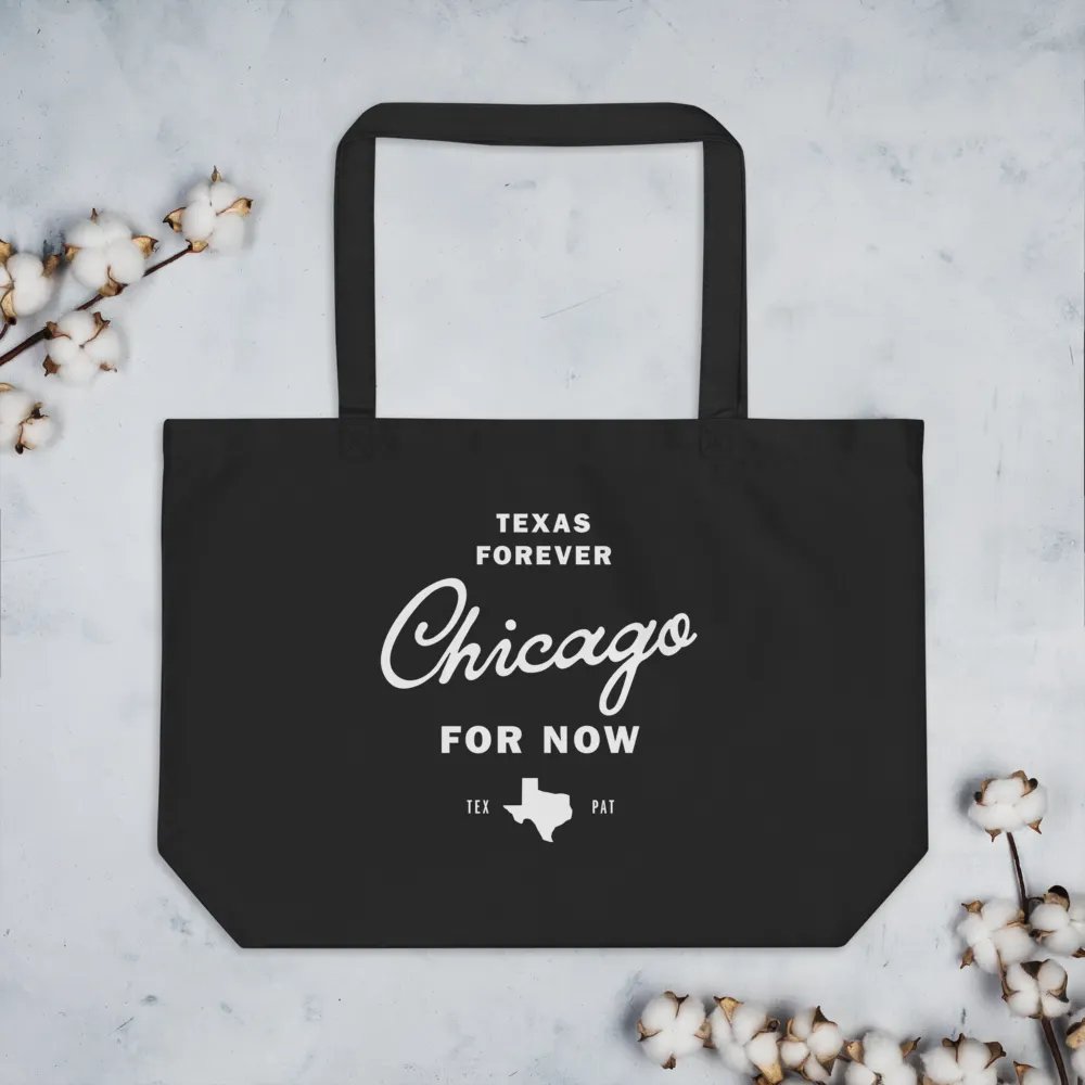 Chicago for now product image (7)