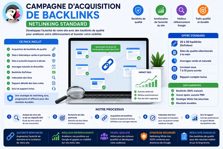 Campagne d'Acquisition de Backlinks (Netlinking Standard) product image (1)
