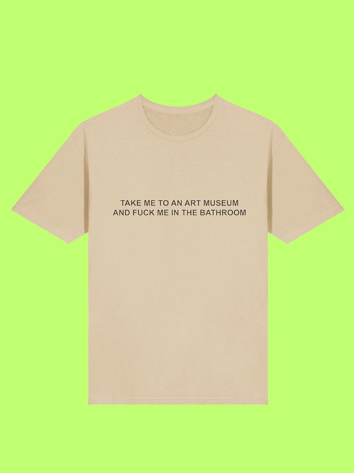Take Me To An Art Museum And Fuck Me In The Bathroom Shirt product image (169)