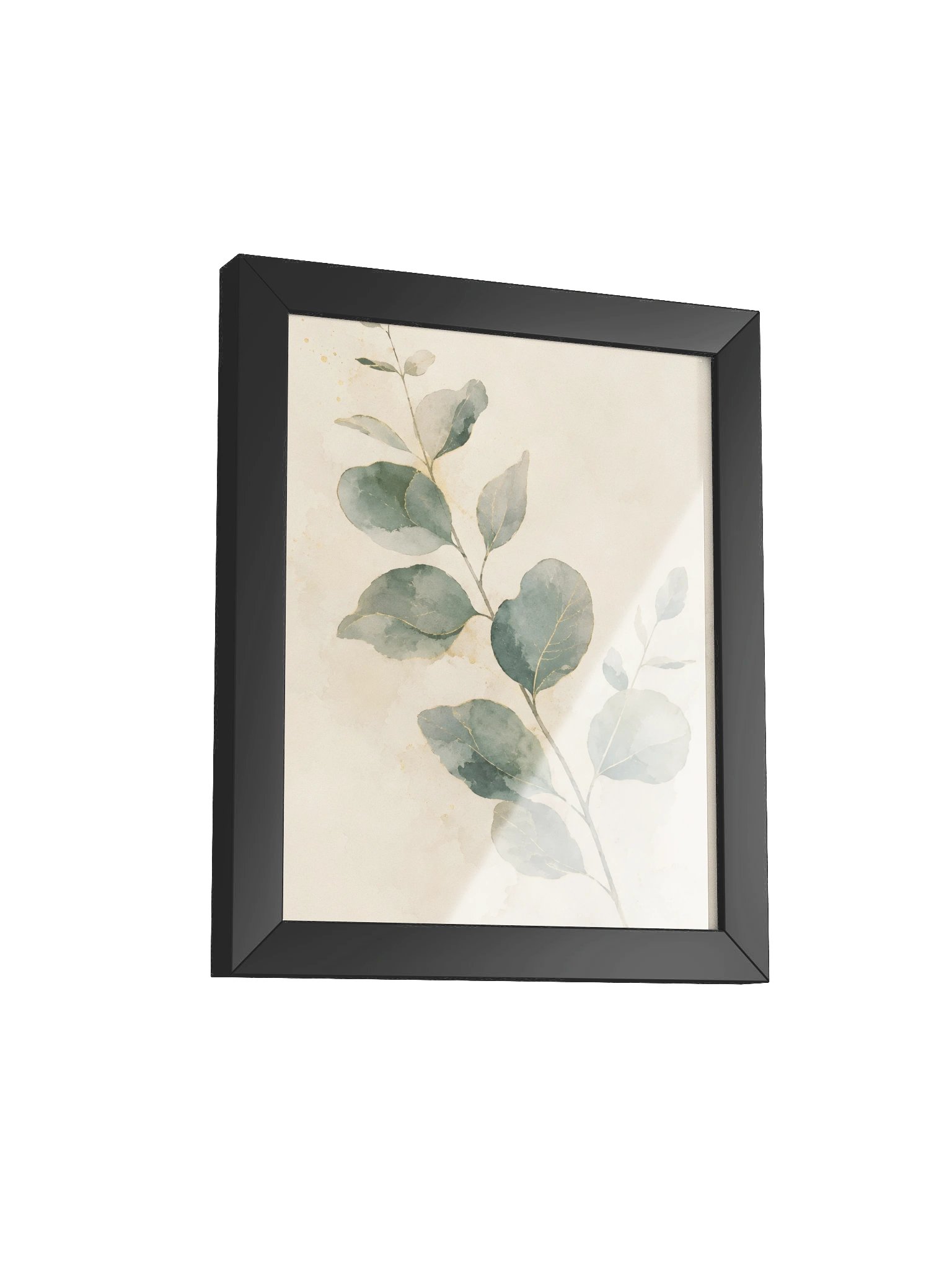Emerald Eucalyptus product image (7)