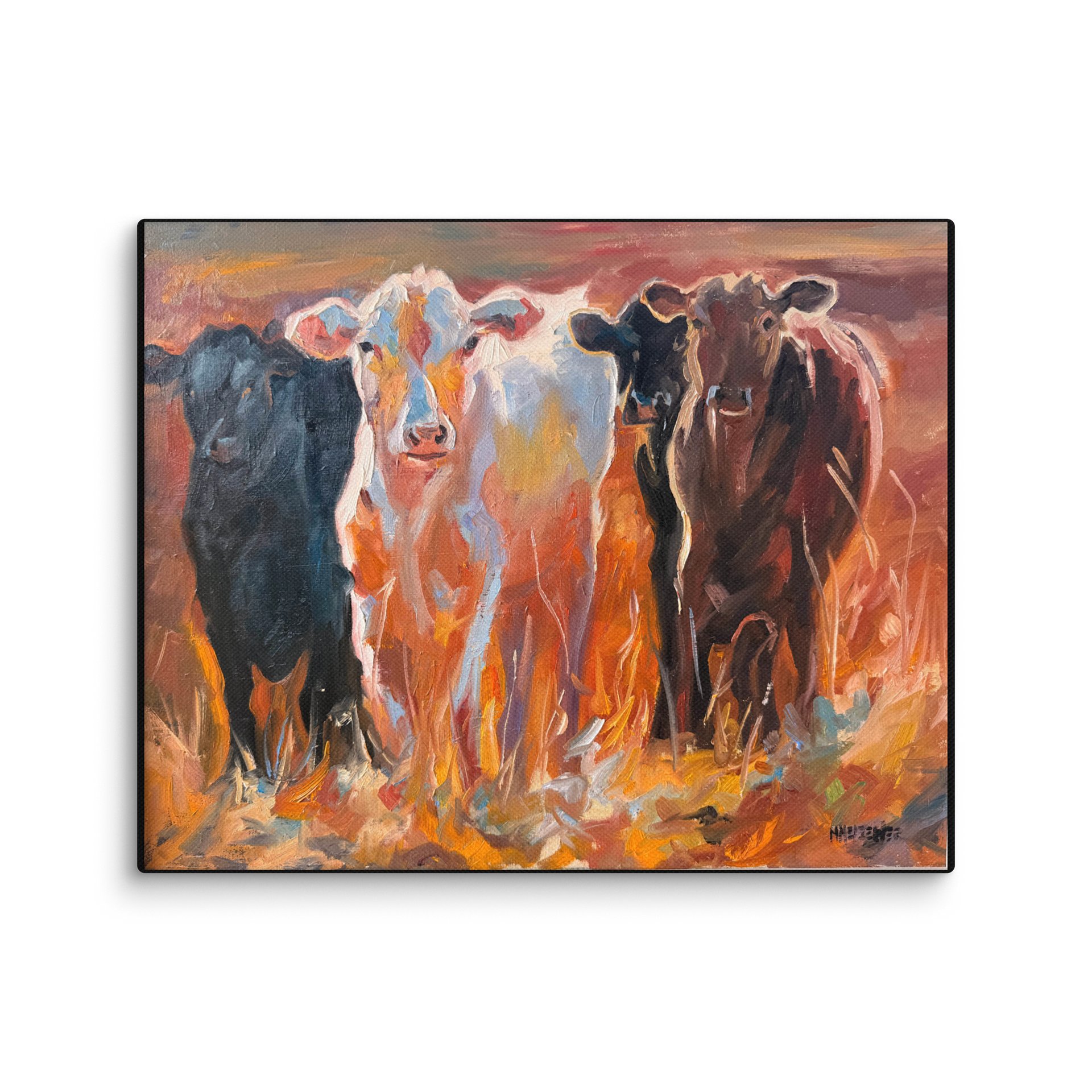 Heifers in the Pasture Giclee Canvas product image (1)