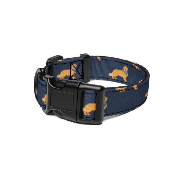 Golden Retriever Dog Collar product image (1)