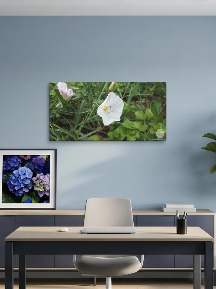 Petunia - Canvas Fine Art product image (1)