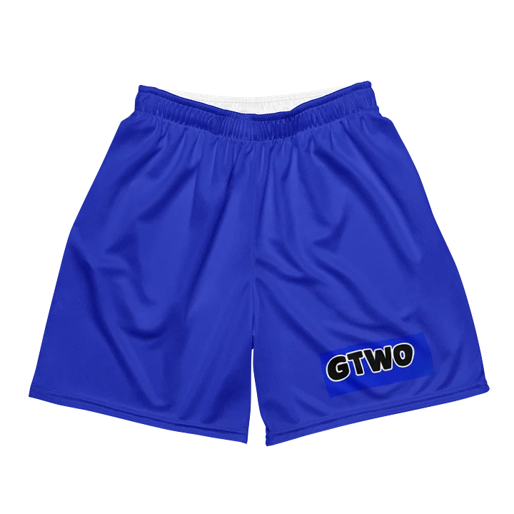 GTWO Shorts product image (2)