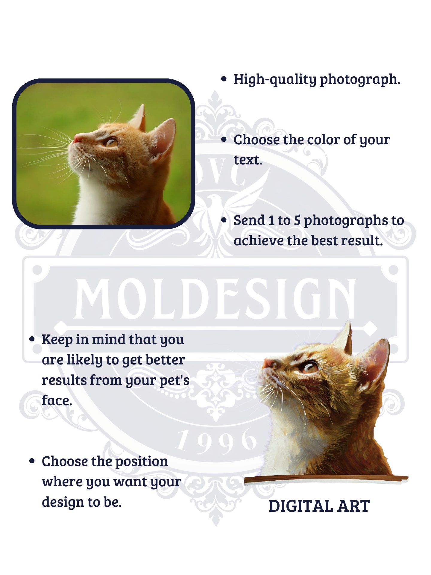 YOUR CAT! / T-SHIRT WITH PERSONALIZED NAME / DIGITAL ART III product image (5)