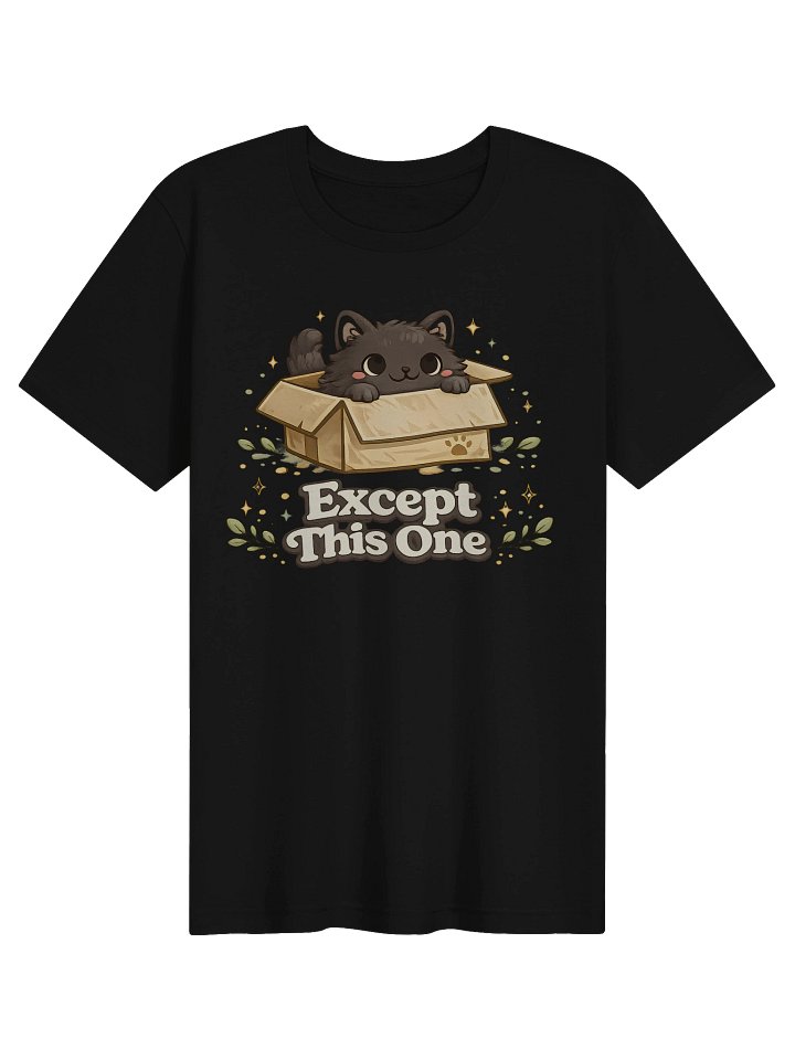 Except This One Cat Box Tee, Cute Matching Couple Shirt, Funny Cat Graphic Tee product image (1)