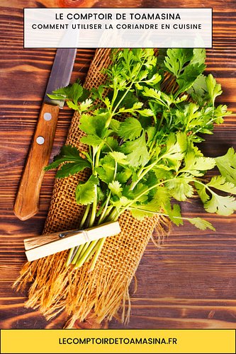 Herbe adorée ou détestée, la coriandre ne laisse personne indifférent ! Fraîche, elle sublime les plats d'Asie et les salsas ...