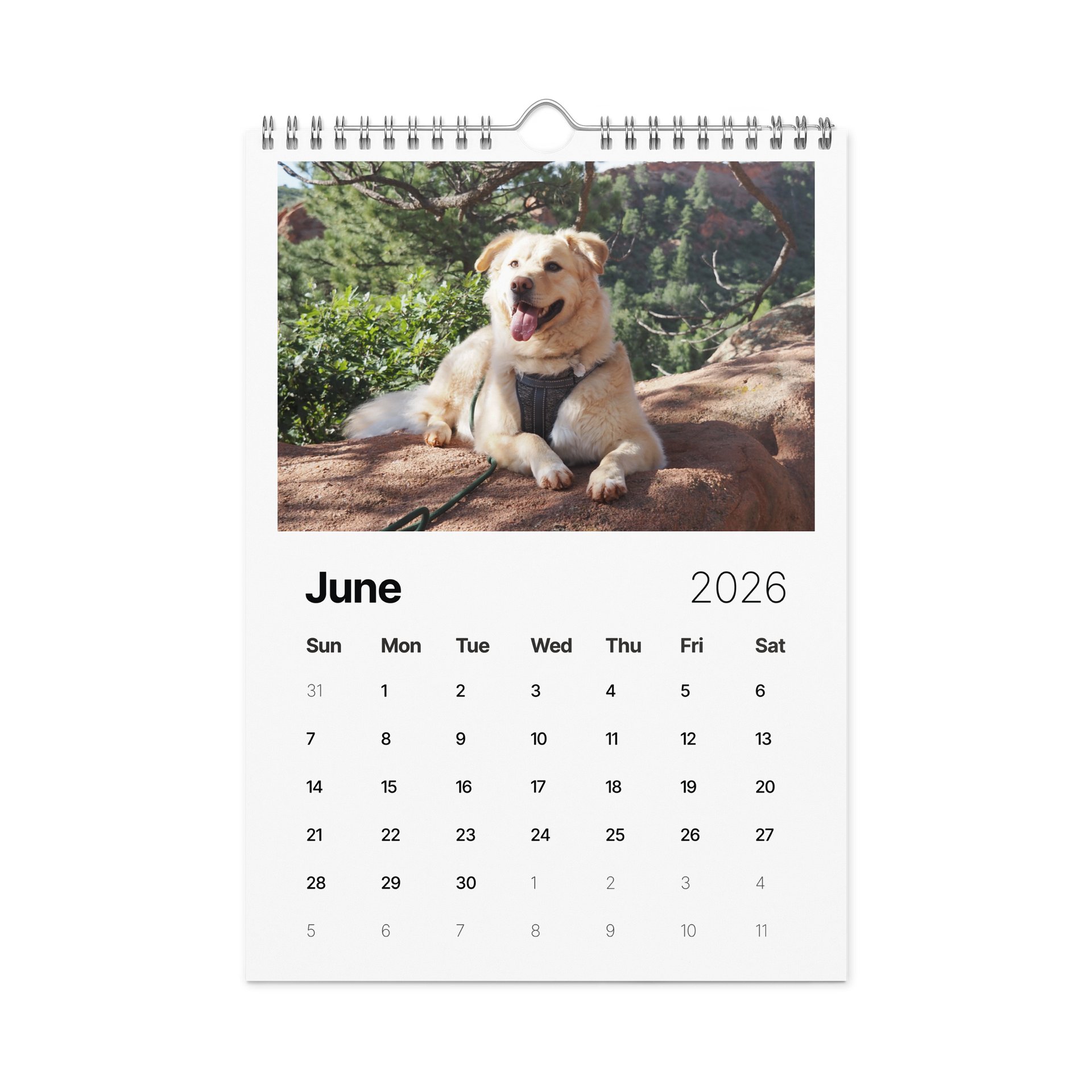 Milo's Life 2026 Wall Calendar product image (4)