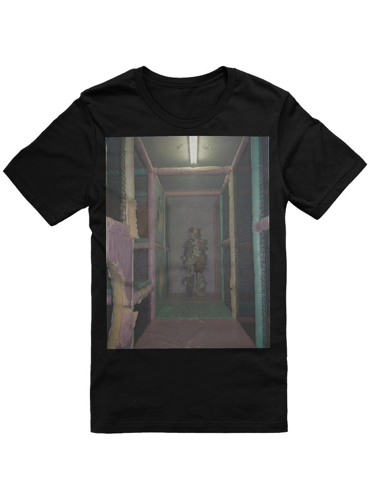 The Plush Enitity Woman T-Shirt product image (1)