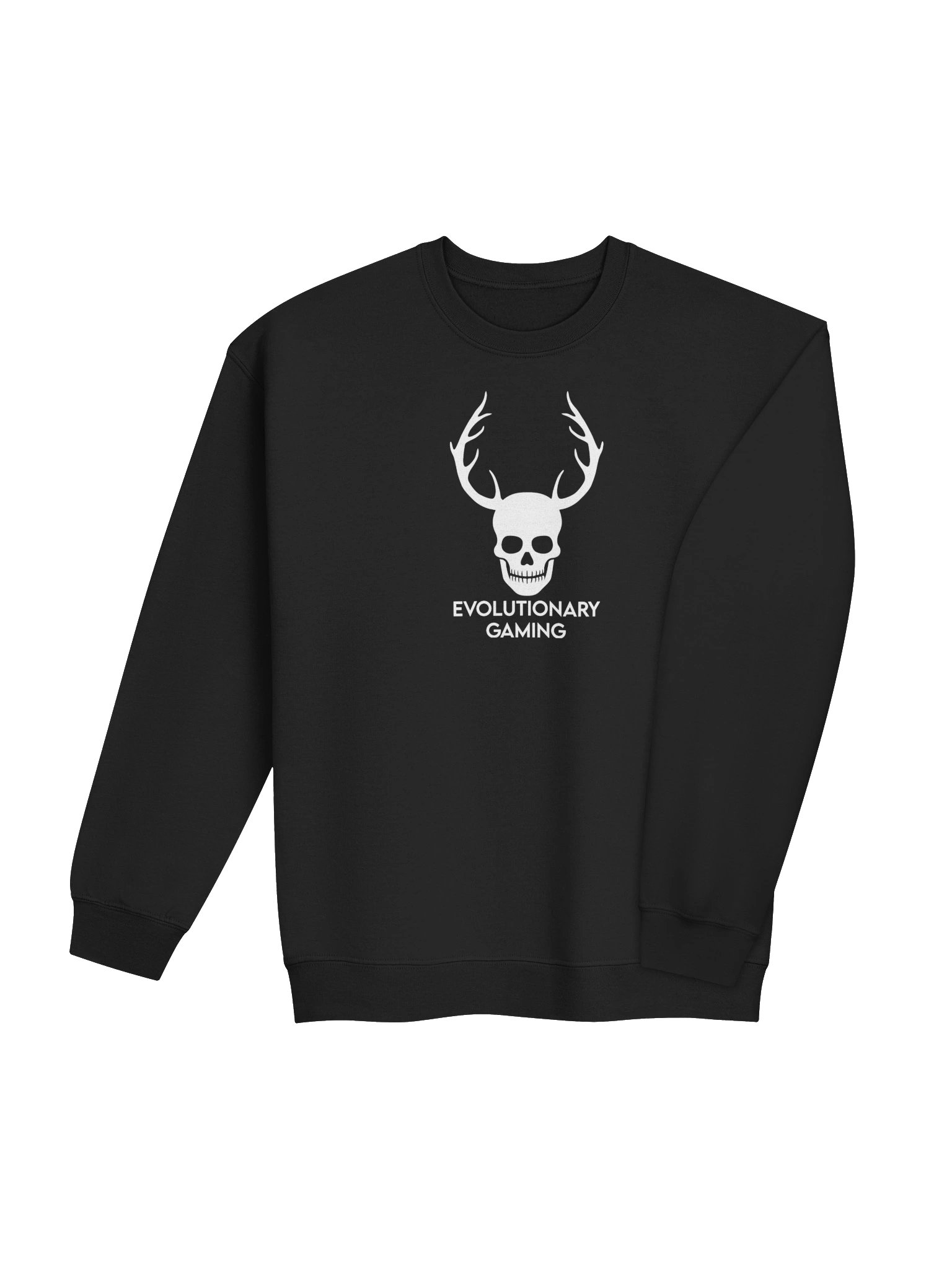 Sweatshirt product image (28)